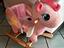 Immagine 2