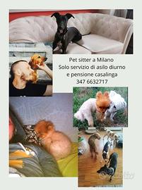 Pet dog sitter pensione casalinga