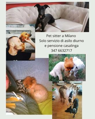 Pet dog sitter pensione casalinga
