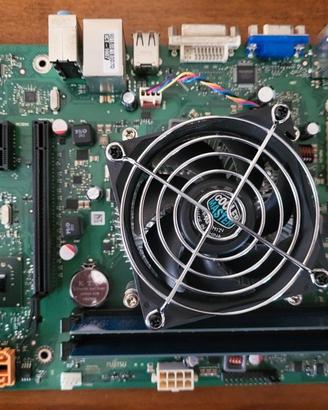 Scheda madre Fujitsu D3120-A10 GS1