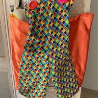 Vestito carnevale bambina/o