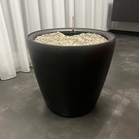 Vaso Lechuza Classic 50