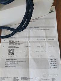 Centralina aggiuntiva BMW serie uno Rave Chip gts5