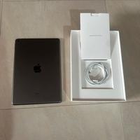 Ipad 9th generazione