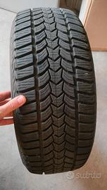 4 gomme invernali Debica Frigo HP 2 205/55R16 91H