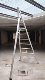 scala da potare