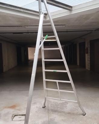 scala da potare
