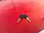 Immagine 29
