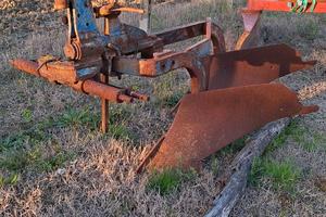 Aratro bivomere dondi