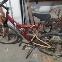 Bicicletta