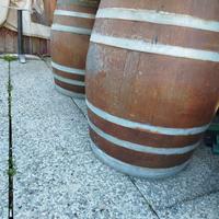 Botte in castagno usate
