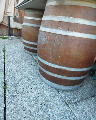 Botte in castagno usate