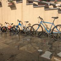 biciclette  adulti-ragazzi-bimbi