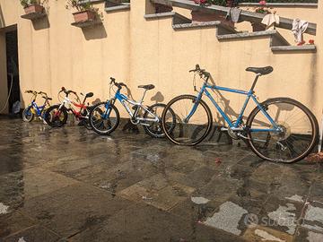 biciclette  adulti-ragazzi-bimbi