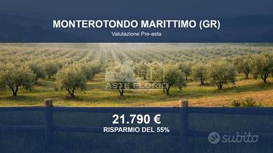 Immobile in asta di 72094 m² a Monterotondo Maritt