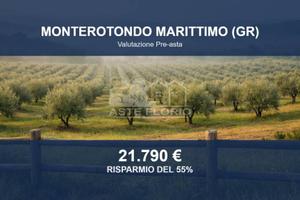 Immobile in asta di 72094 m² a Monterotondo Maritt