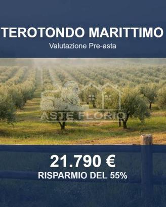 Immobile in asta di 72094 m² a Monterotondo Maritt
