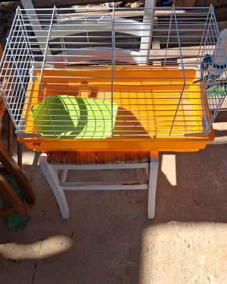 Gabbia per roditori