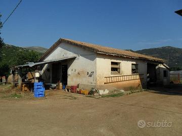 Fabbricati agricoli con terreno a Sonnino (LT)