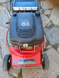 Tagliaerba tosaerba.