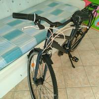 Bicicletta da donna