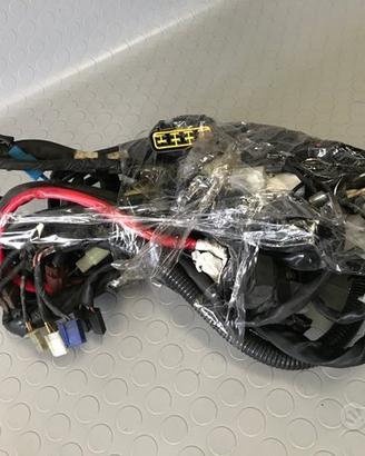 Impianto elettrico Tmax 2001 2003