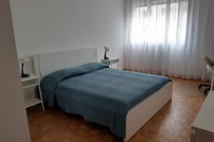 Camera singola Mestre solo studentesse