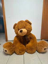 Orso Gigante