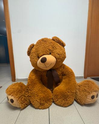 Orso Gigante