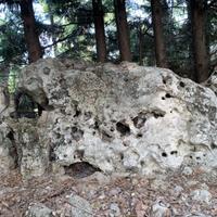 Rocce ornmentali-marinexgiardini-originali 20