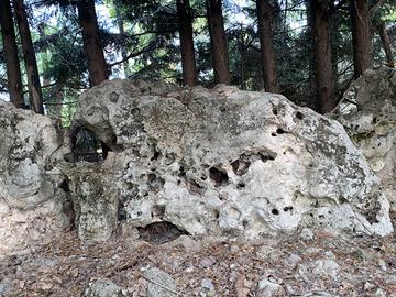 Rocce ornmentali-marinexgiardini-originali 20