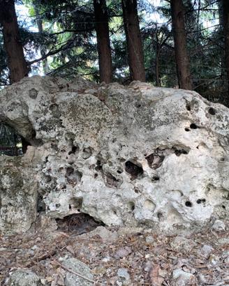 Rocce ornmentali-marinexgiardini-originali 20
