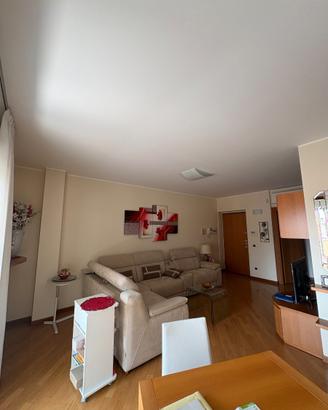 Bilocale in Centro Lissone