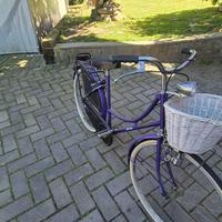 Bicicletta da donna Holland