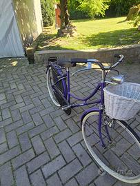 Bicicletta da donna Holland