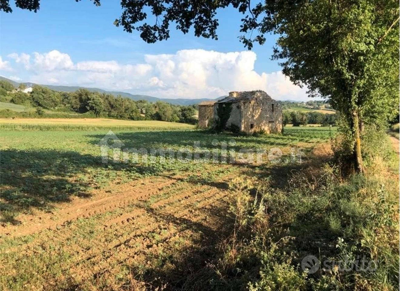 Rustico e Terreno Vocabolo Raggio - Massa Martana - Vista 5