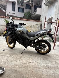 Honda Transalp 750 XL