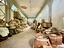 Immagine 26