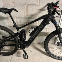 E-Bike Focus