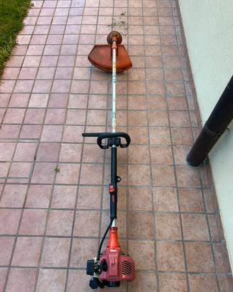 Decespugliatore a scoppio