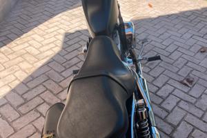 Bella e perfetta harley seventy two