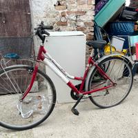 Bici Donna teleaio Alluminio