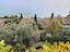 Immagine 16