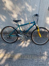Bici ragazzo con doppio cambio