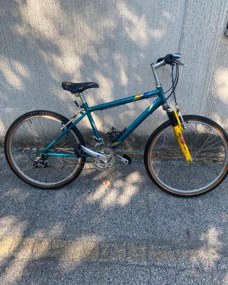 Bici ragazzo con doppio cambio