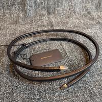 Leather Snake Belt Bottega Beneta