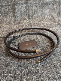 Leather Snake Belt Bottega Beneta