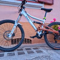 Mountain bike rockrider fr6