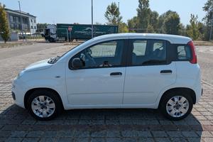 Fiat Panda 1.2 Easy Benzina – 2018 (NEOPATENTATI)