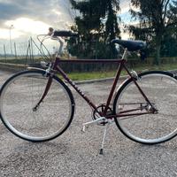 Bicicletta Chesini